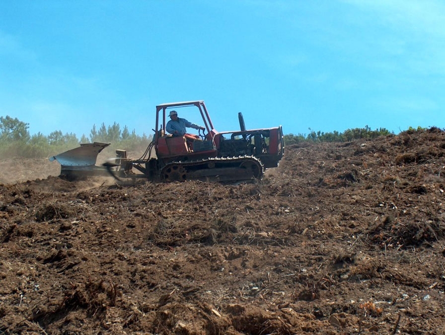  Preparao do terreno num projecto florestal - Armao do terreno em vala e cmoro 