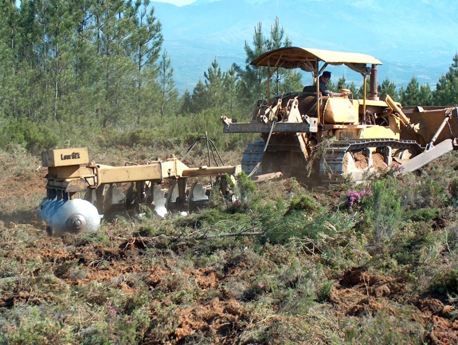  Preparao do terreno num projecto florestal - Corte de matos com grade de discos 1 